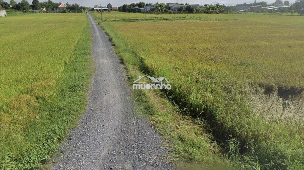 Ban dat duc hoa long an chinh chu *** - Ảnh 3