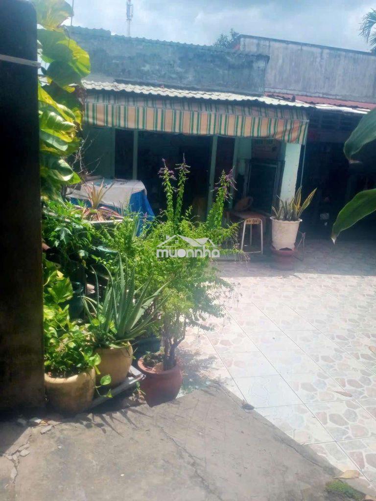 Bán đất tặng 3 căn nhà cấp 4 183m2 gần chợ tân phước khánh - Ảnh 4