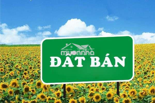 Đất trung nghĩa 5 gần công viên cống đôi - 2