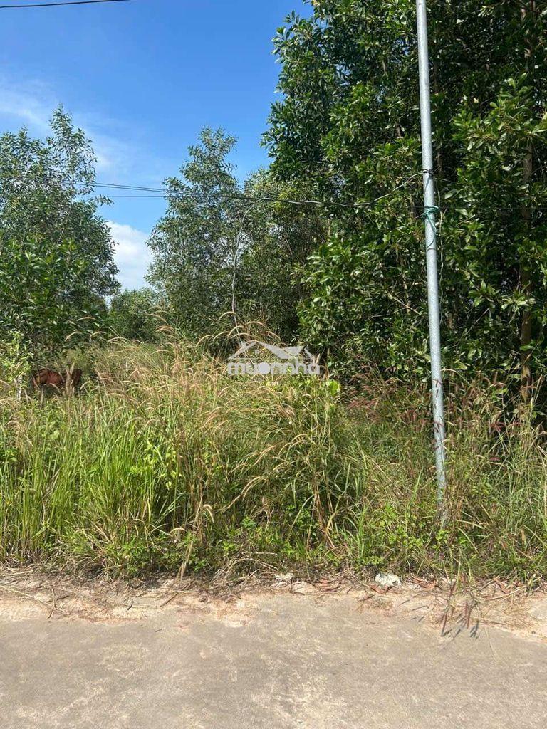 Đất gần khu du lịch núi chứa chang - Ảnh 4