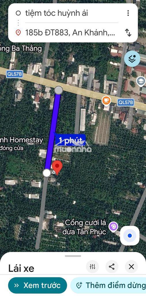 Đất vườn bưởi châu thành bến tre 2,5 công - Ảnh 3