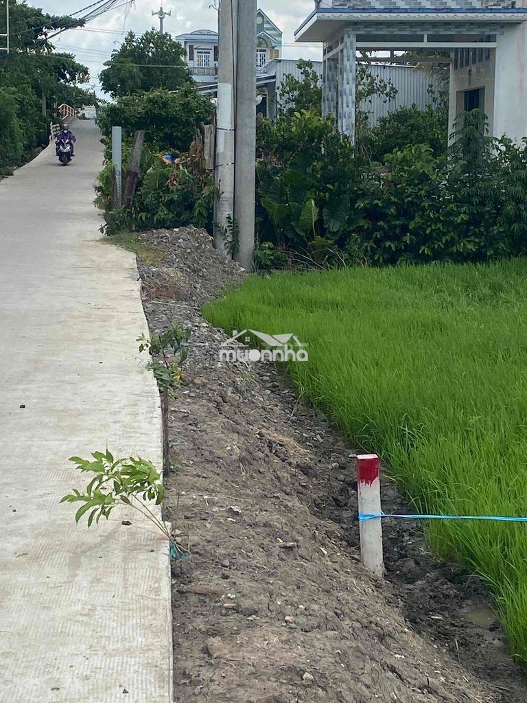 Bán đất lúa