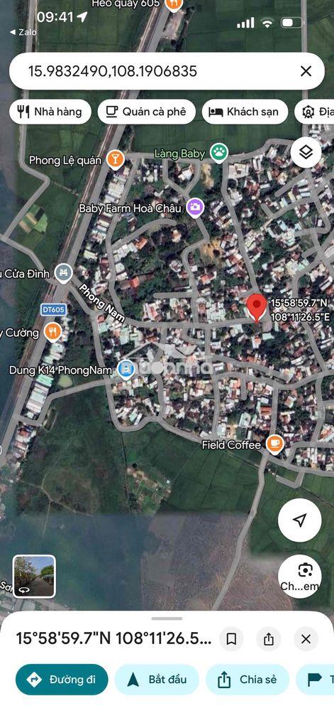 🧧 Đường chính phong nam - Ảnh 4