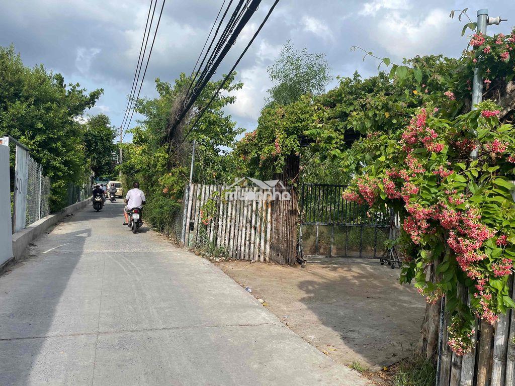 Đất cho thuê có nhà cấp 4 sẵn - Ảnh 2