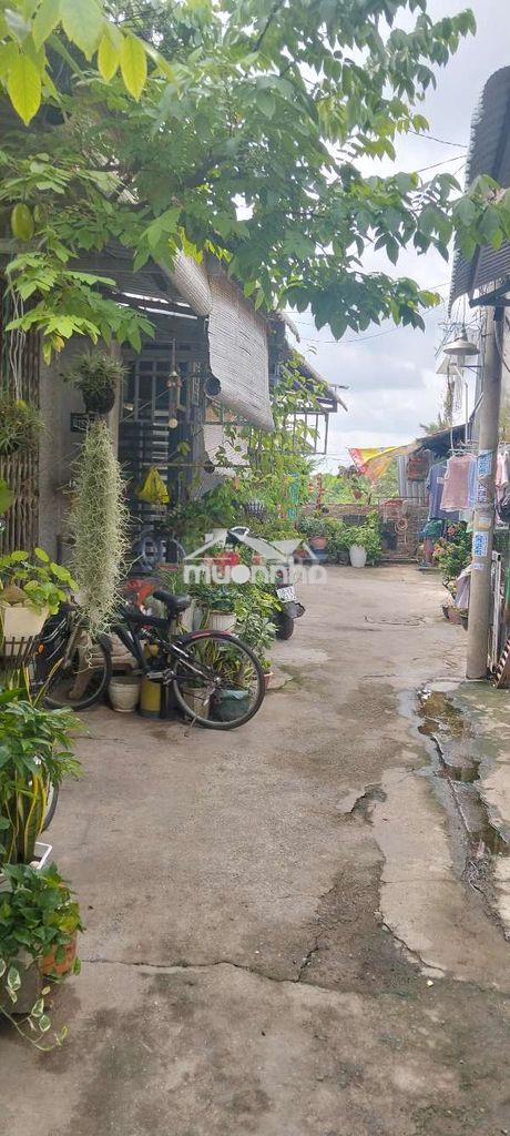 Nhà bán chính chủ