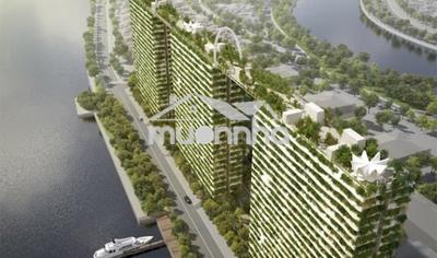 ⭐️⭐️⭐️Cần cho thuê căn hộ lotus riverside phúc khang 