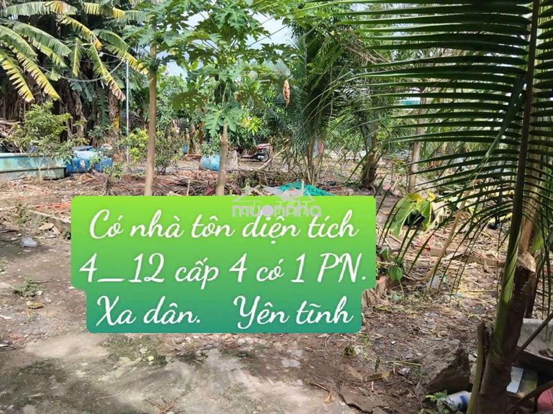 Nhà vườn 12*20. có sẵn nhà tôn ở đường kênh trung ương vĩnh lộc b.