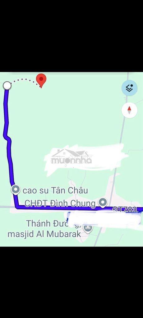 Đất nông nghiệp trồng cây lâu năm phân lô - Ảnh 2
