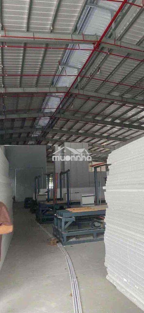 Cho thuê xưởng 1700m gần kcn nam tân uyên - Ảnh 4