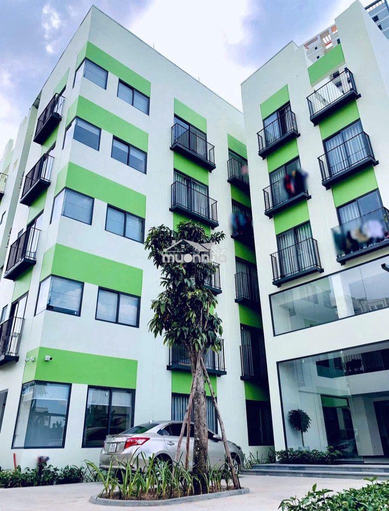 Cho thuê căn hộ mini ngay homyland quận 2