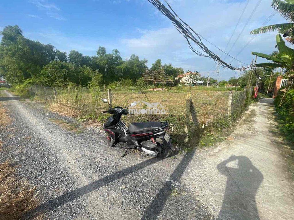 Bán đất lúa chờ kv chuyển thổ - hem xe hơi - Ảnh 3