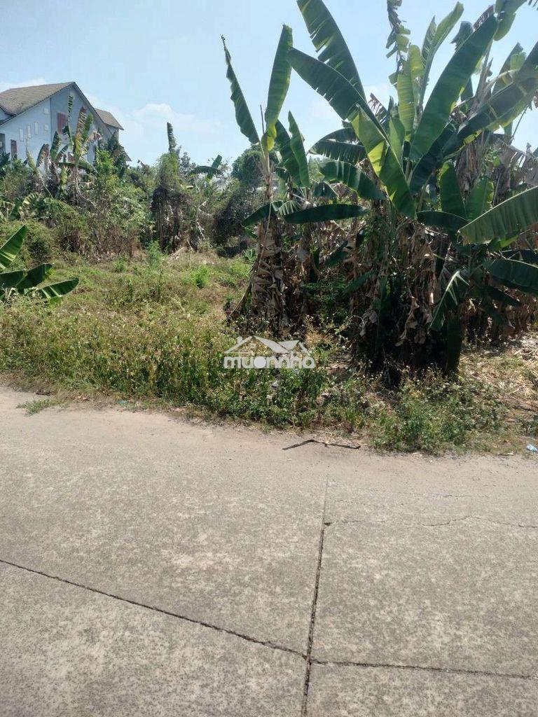 Đất an bình phú giáo - Ảnh 4