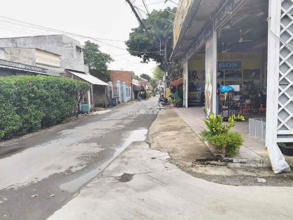 Chính chủ cần bán nhà vườn 1030m2 xã hoà phú, sát bên tỉnh lộ 8 - Ảnh 3