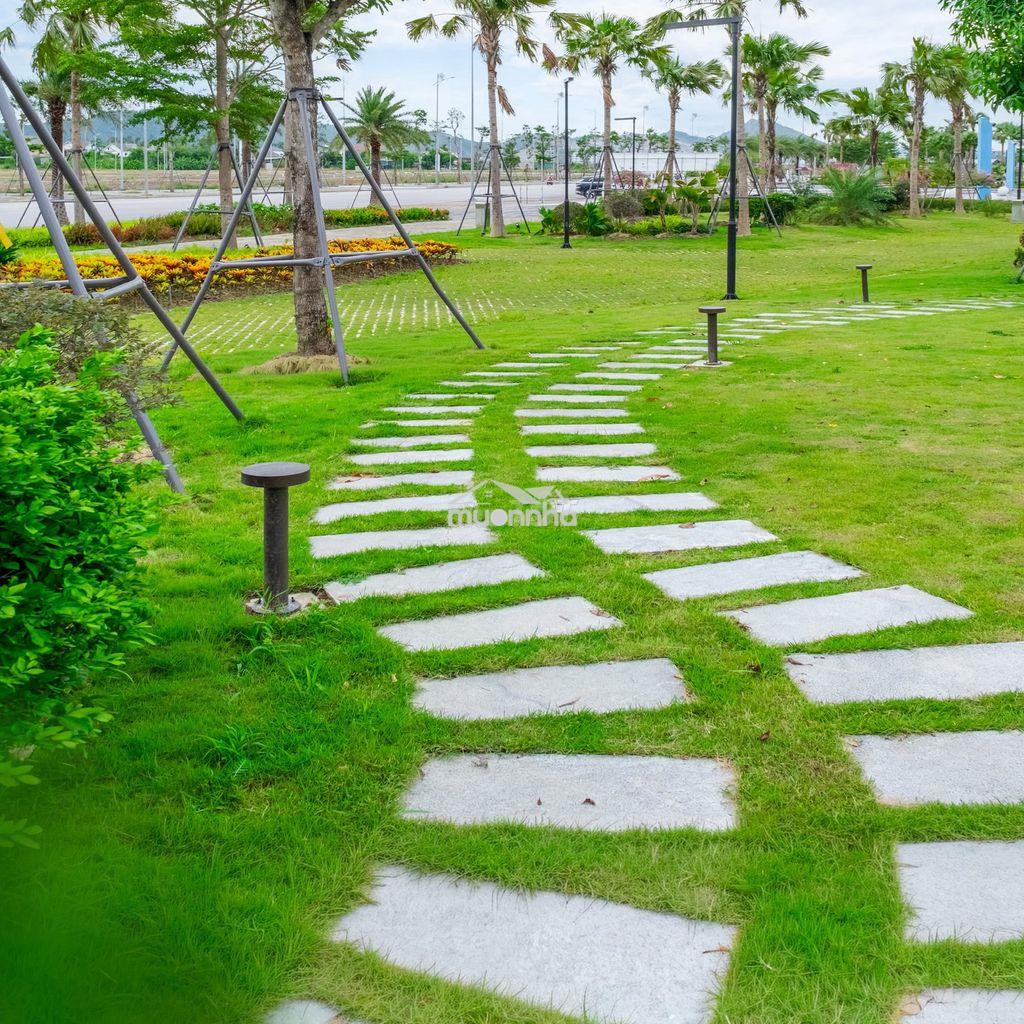 Nhà 3 tầng, đất 158m2, diện tích sàn xây dựng 297m2, giá 5,xxx tỷ - Ảnh 3