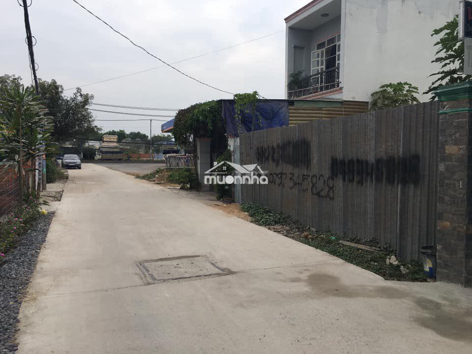 Bán nhà vườn -kp chợ cầu xáng, trần văn giàu - Ảnh 2