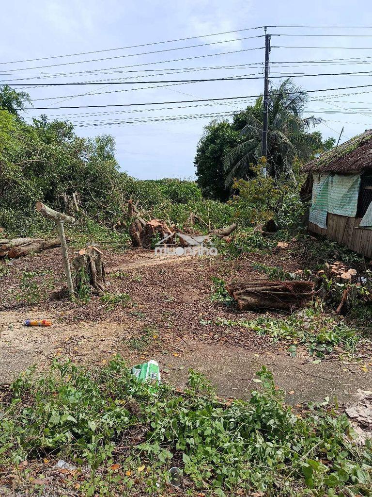Bán đất cà mau xã khánh an huyện u minh - Ảnh 4