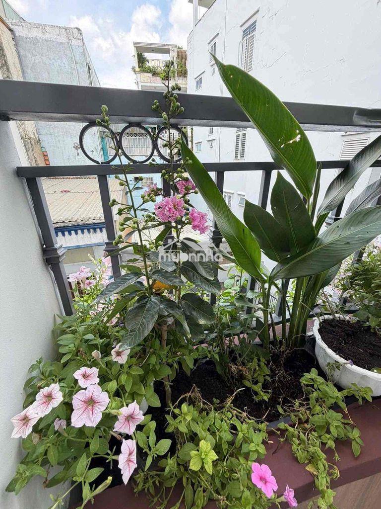 Nhà đẹp ở ngay cô giang-phan đình phùng-53m-ngang 4m-4 tầng - Ảnh 2