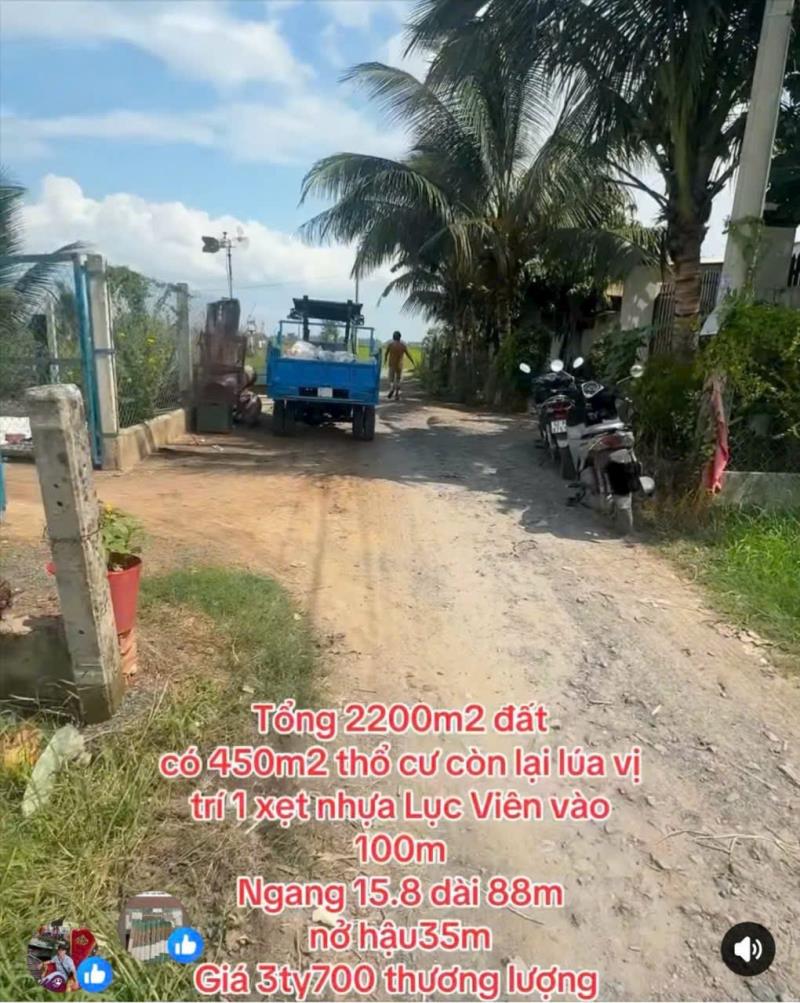Bán đất thổ + lúa thích hợp xây nhà vườn xã đức lập hạ tdt 2200m2 ( 450m2 thổ) giá 3,7 tỷ - Ảnh 3