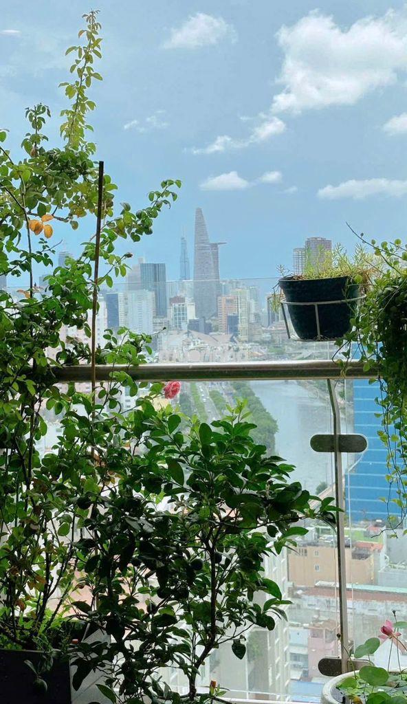 Cho thuê hàng hiếm view bitexco đẹp *** 2pn hiện trống ở ngay - Ảnh 2