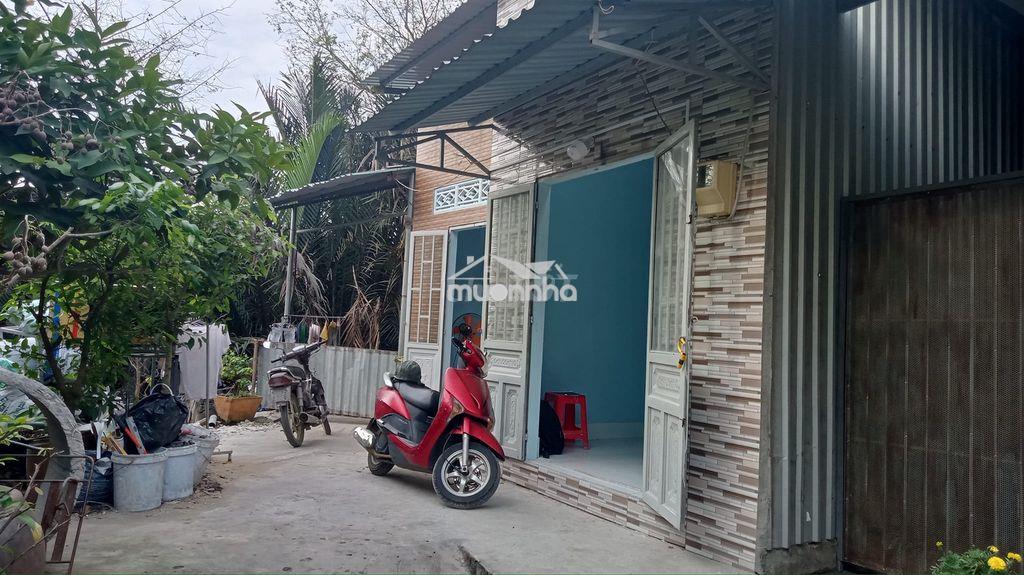 Cho thuê nhà cấp 4 nguyên căn giá rẻ - Ảnh 2