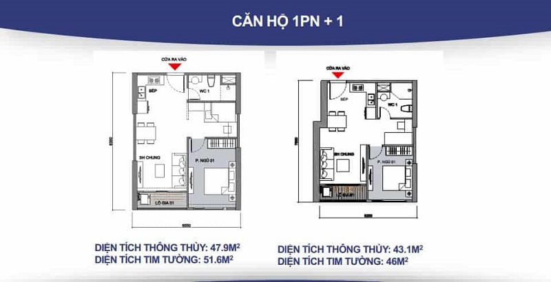 Căn hộ 1 phòng ngủ (1PN): Có diện tích tối ưu, phù hợp với những người muốn tận hưởng cuộc sống tiện nghi với không gian riêng tư nhưng vẫn đầy đủ tiện ích.