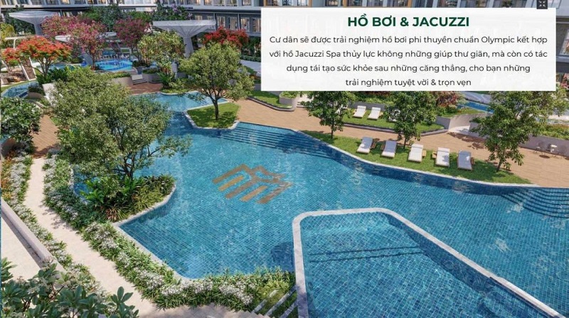  Hồ Bơi Chuẩn Olympic Và Hồ Jacuzzi